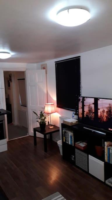 Cosy London Holiday Home ภายนอก รูปภาพ